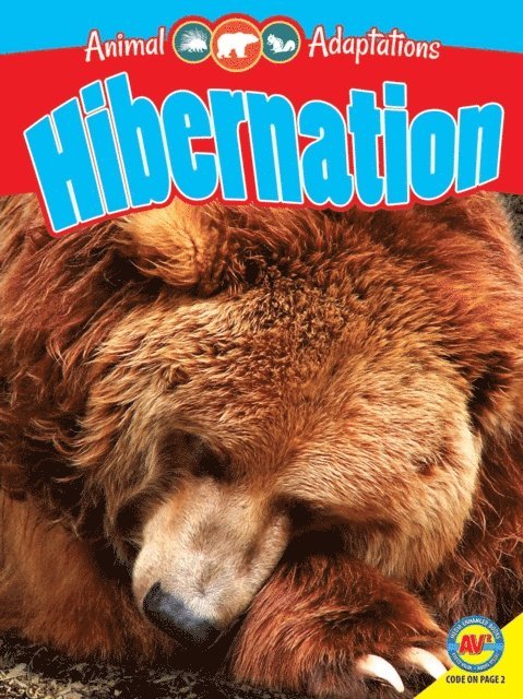 Pamela McDowell - Hibernation, E-bok