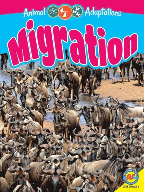 Megan Kopp - Migration, E-bok