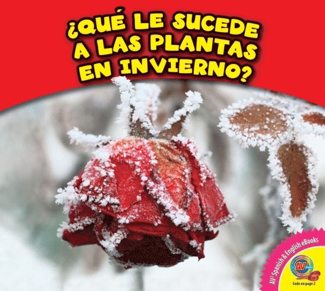 Rebecca Felix - ¿Qué le sucede a las plantas en invierno?, E-bok