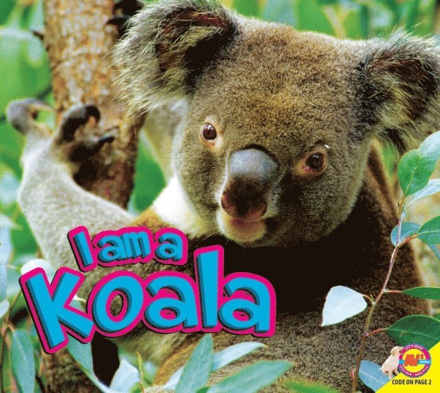 Heather Kissock - Koala, E-bok. Tillgänglighet: Lägg i varukorg