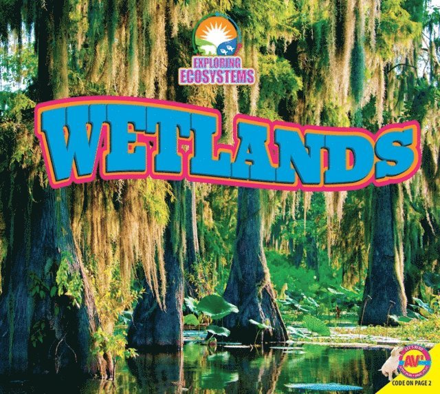 John Willis - Wetlands, E-bok
