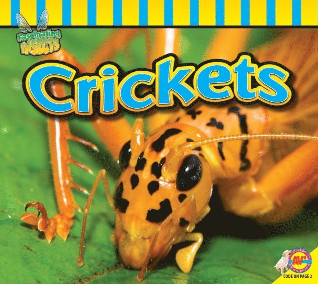 John Willis - Crickets, E-bok