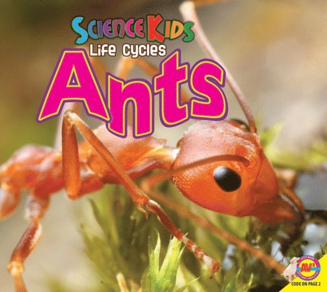 Katie Gillespie - Ants, E-bok. Tillgänglighet: Lägg i varukorg