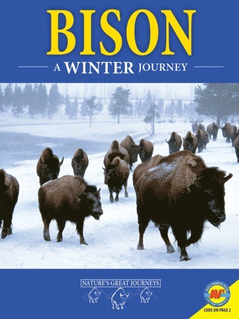 Rebecca Hirsch - Bison: A Winter Journey, E-bok