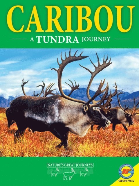 Rebecca Hirsch - Caribou: A Tundra Journey, E-bok