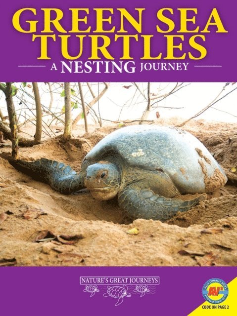 Rebecca Hirsch - Green Sea Turtles: A Nesting Journey, E-bok