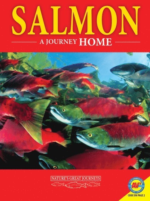 M. J. Cosson - Salmon: A Journey Home, E-bok