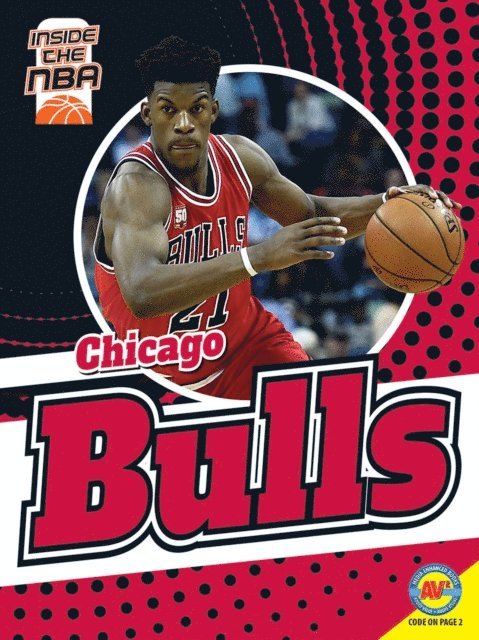 Josh Anderson - Chicago Bulls, E-bok