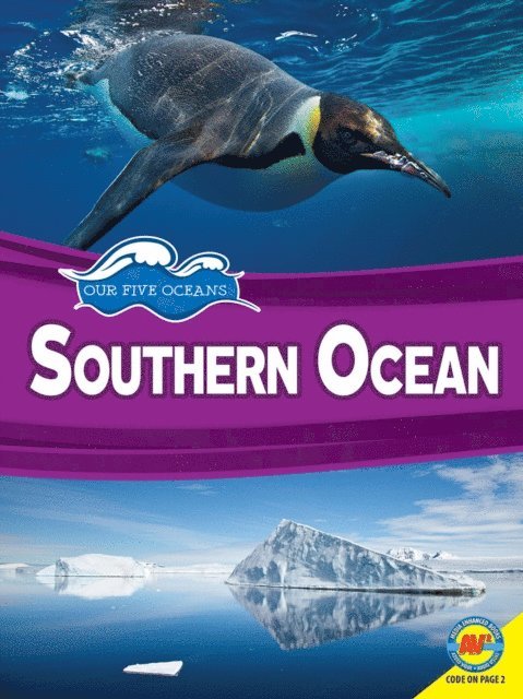 Rowena Rae - Southern Ocean, E-bok