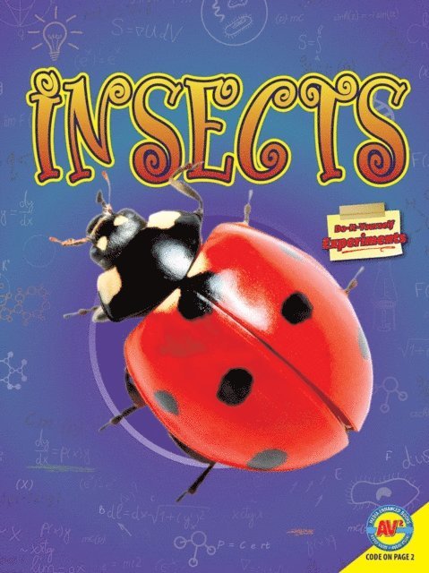 Katie Marsico - Insects, E-bok