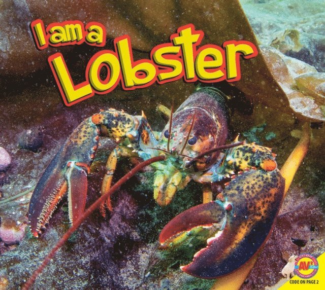 Jared Siemens - Lobster, E-bok