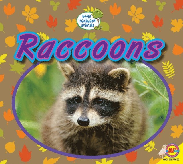 Heather Kissock - Raccoons, E-bok. Tillgänglighet: Lägg i varukorg