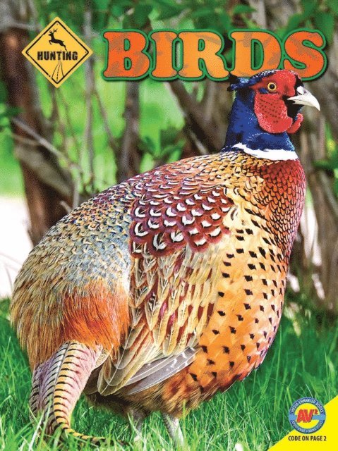 Pamela McDowell - Birds, E-bok