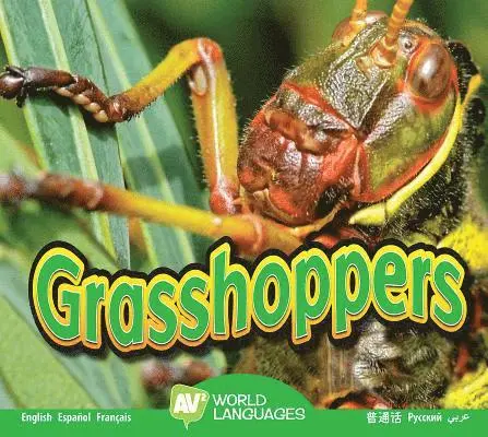 Aaron Carr - Grasshoppers, Inbunden. Tillgänglighet: Lägg i varukorg