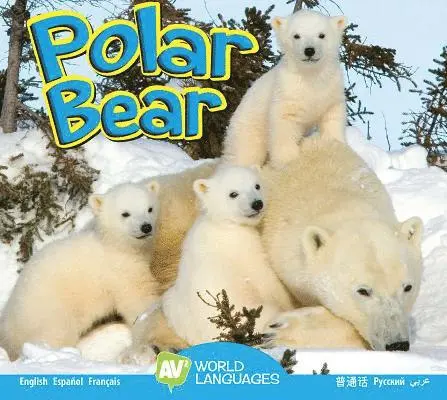 Steve MacLeod - Polar Bear, Inbunden. Tillgänglighet: Lägg i varukorg