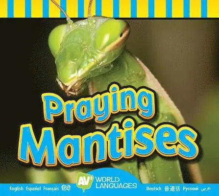 Aaron Carr - Praying Mantises, Inbunden. Tillgänglighet: Lägg i varukorg