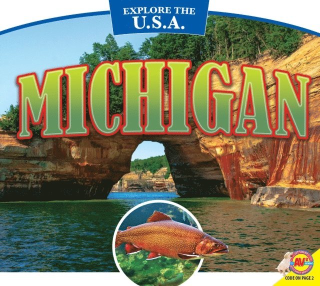 Pamela McDowell - Michigan, E-bok