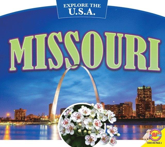 Pamela McDowell - Missouri, E-bok