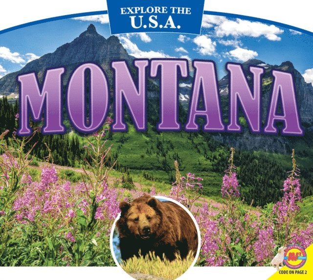 Megan Kopp - Montana, E-bok