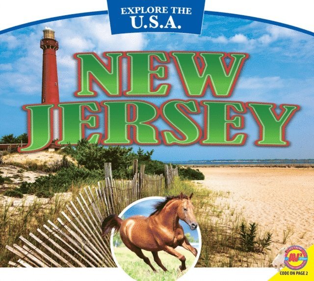 Megan Kopp - New Jersey, E-bok
