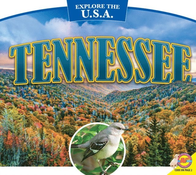 Pamela McDowell - Tennessee, E-bok