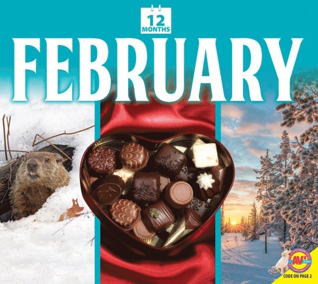 K. C. Kelley - February, E-bok