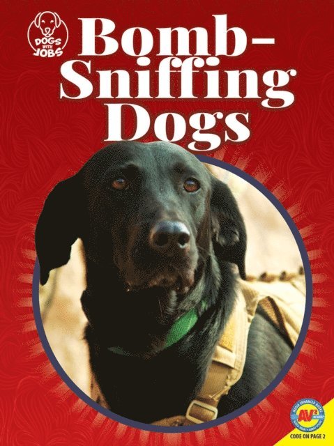 Bomb-Sniffing Dogs