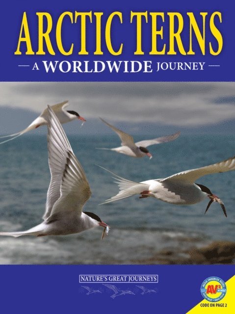 Rebecca Hirsch - Arctic Terns: A Worldwide Journey, E-bok