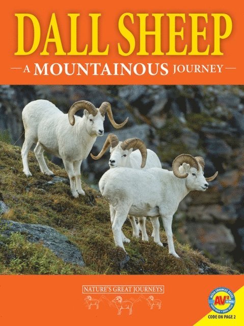 Rebecca Hirsch - Dall Sheep: A Mountainous Journey, E-bok