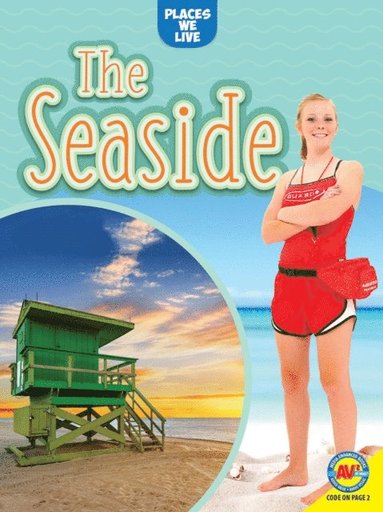 Joanna Brundle - Seaside, E-bok