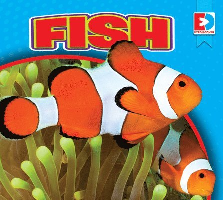 Maria Koran - Fish, Inbunden. Tillgänglighet: Lägg i varukorg