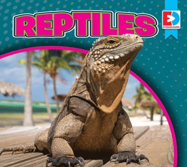 Maria Koran - Reptiles, E-bok. Tillgänglighet: Lägg i varukorg