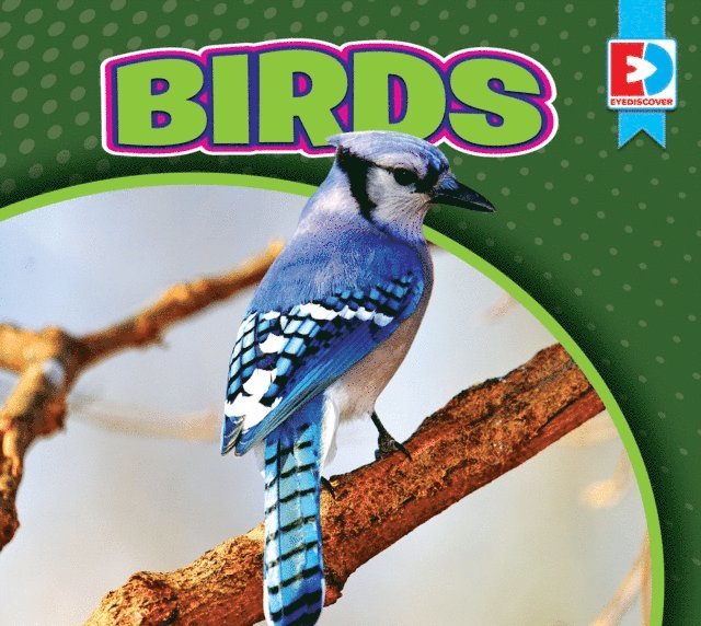 Maria Koran - Birds, E-bok. Tillgänglighet: Lägg i varukorg