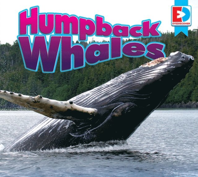 Heather  DiLorenzo Williams - Humpback Whales, E-bok. Tillgänglighet: Lägg i varukorg