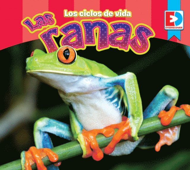 Maria Koran - Los ciclos de vida — Las Ranas, E-bok. Tillgänglighet: Lägg i varukorg