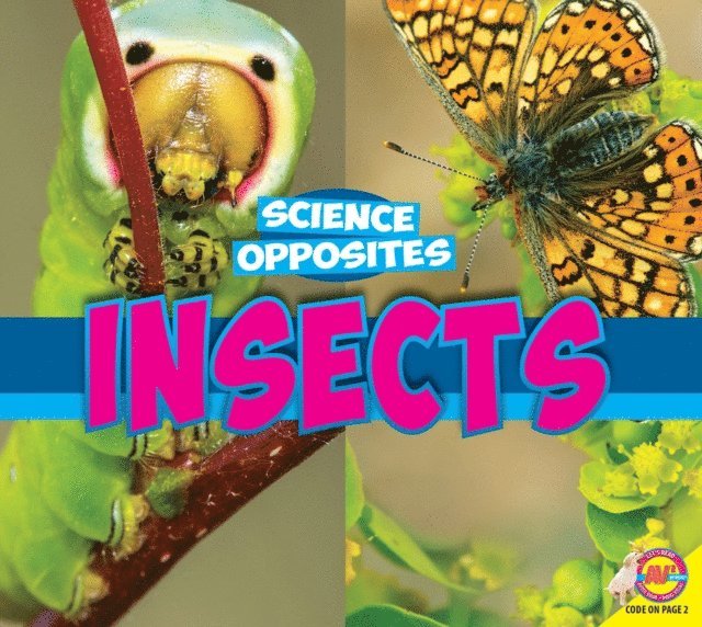 Pamela McDowell - Insects, E-bok