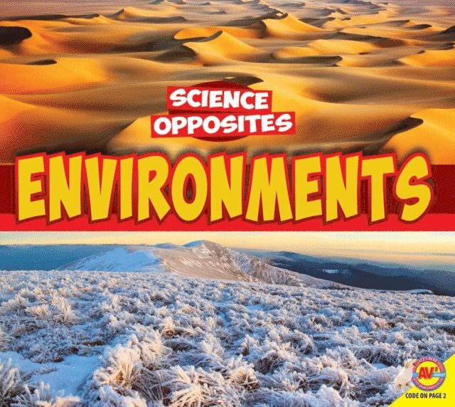 Pamela McDowell - Environments, E-bok