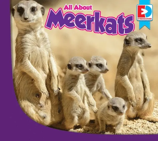 Piper Whelan - All About Meerkats, E-bok. Tillgänglighet: Lägg i varukorg
