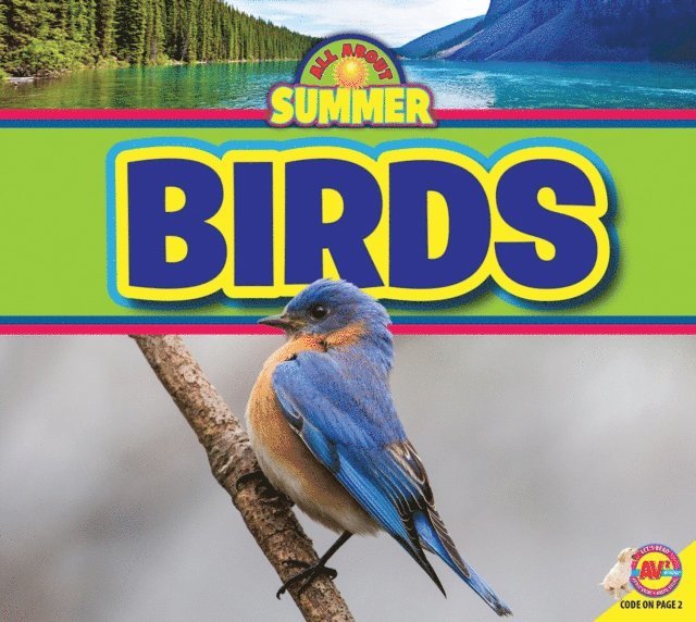 Ruth Daly - Birds, E-bok