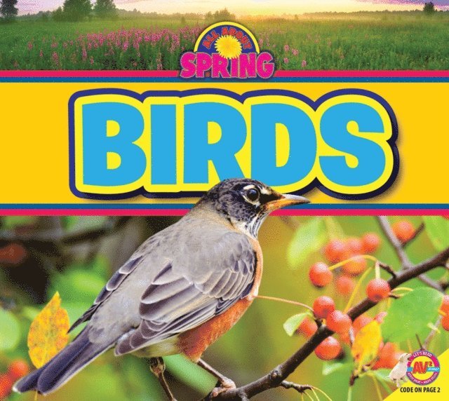 Ruth Daly - Birds, E-bok