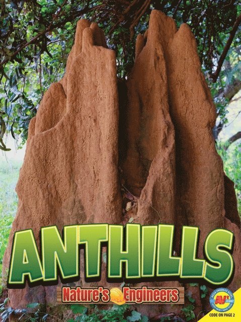 Christopher Forest - Anthills, E-bok