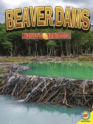 Nancy Furstinger - Beaver Dams, Häftad