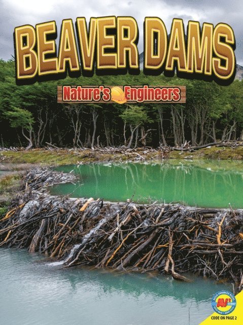 Nancy Furstinger - Beaver Dams, E-bok