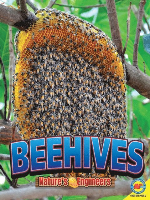 Christopher Forest - Beehives, E-bok
