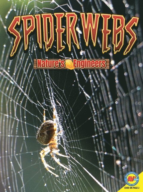Nancy Furstinger - Spiderwebs, E-bok