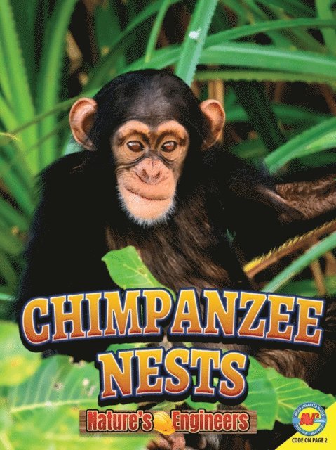 Christopher Forest - Chimpanzee Nests, E-bok