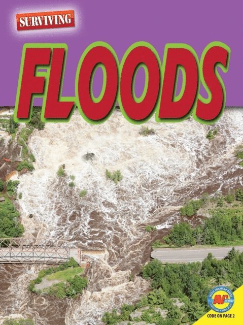 Marne Ventura - Floods, E-bok