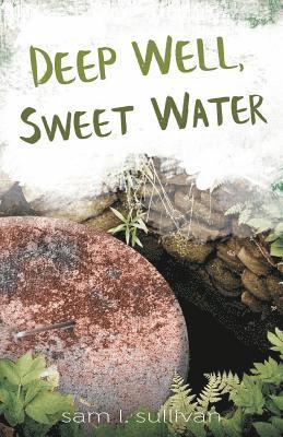 Sam L Sullivan - Deep Well, Sweet Water, Häftad. Tillgänglighet: Lägg i varukorg