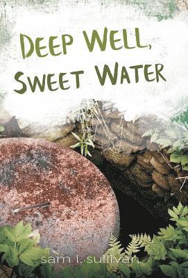 Sam L Sullivan - Deep Well, Sweet Water, Inbunden. Tillgänglighet: Lägg i varukorg