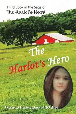 Brenda Richardson-McGhee - Harlot's Hero, Häftad